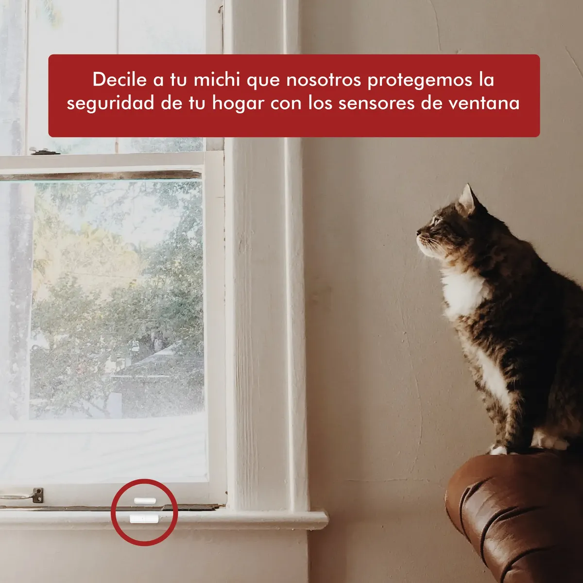 Sensor Magnetico Inalambrico Wifi Puerta Ventana - Imagen 2